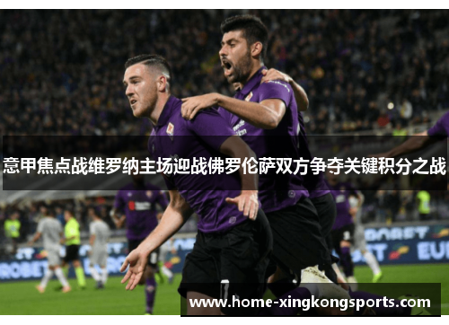 意甲焦点战维罗纳主场迎战佛罗伦萨双方争夺关键积分之战